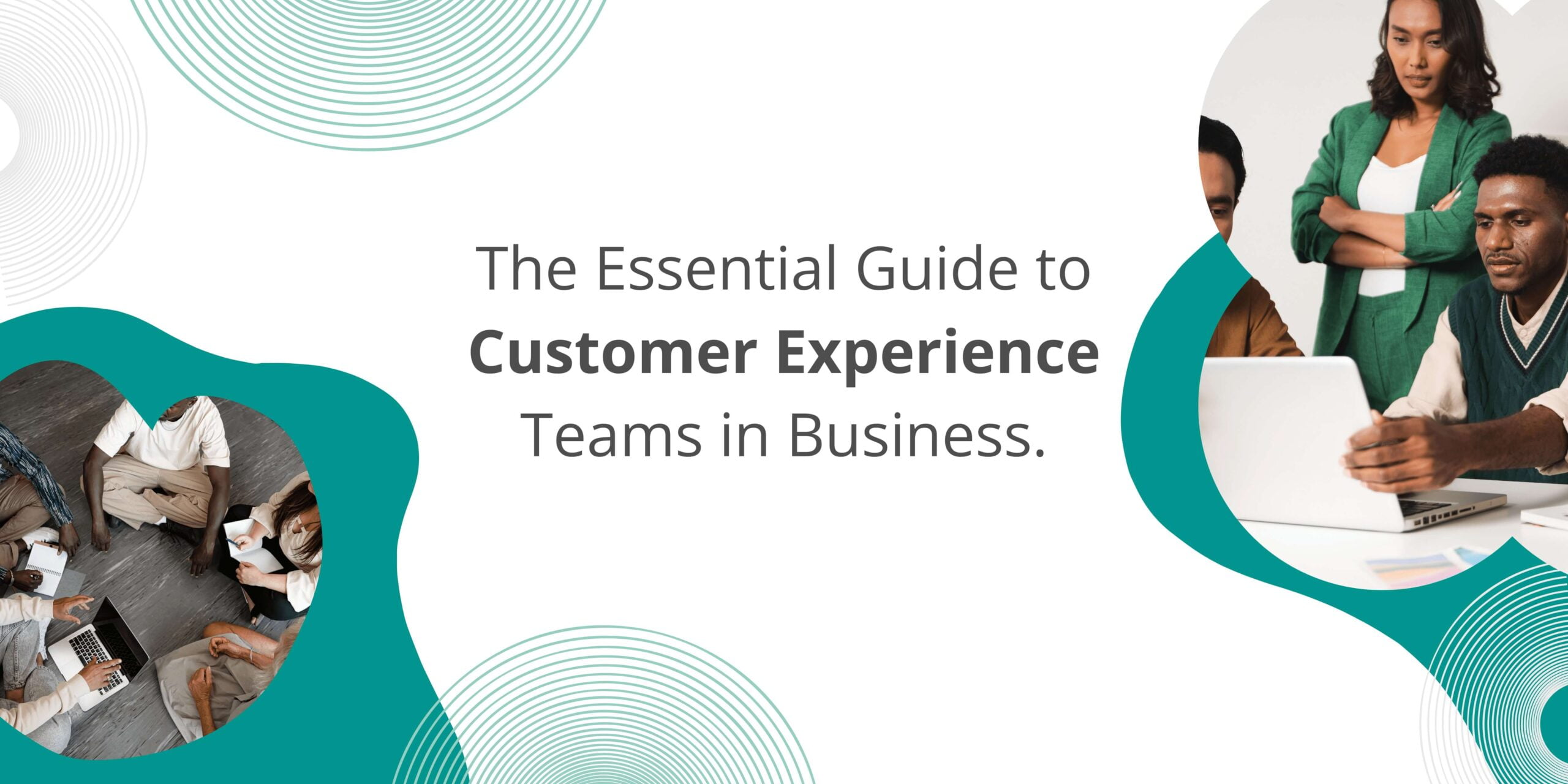 The Essential Guide to Customer Experience Teams in Business